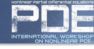 International Workshop on Nonlinear PDEs  * International Workshop on Nonlinear PDEs * International Workshop on Nonlinear PDEs